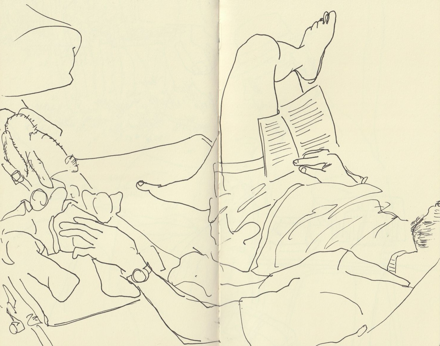 Sieste