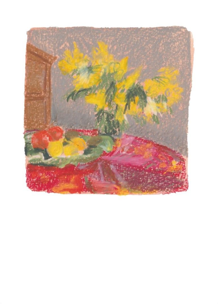 Mimosa