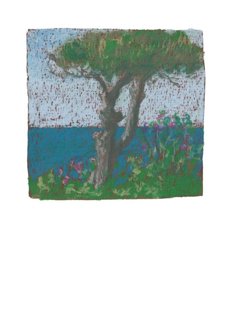 Pin parasol